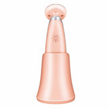 Multifunction Rechargeable RF & Electroporation Beauty Device for Face Skin Tightening