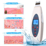 Portable LCD Ultrasonic Facial Skin Scrubber Spatula with Infusion LW-006